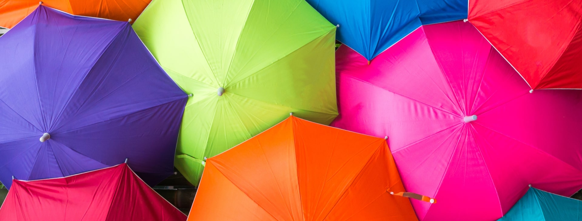 Umbrella Company Costs The Facts Umbrella Supermarket