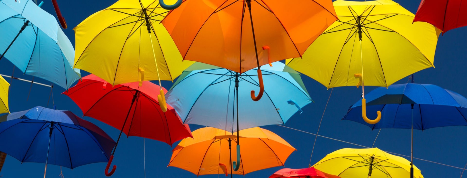 What To Consider When Comparing Umbrella Companies